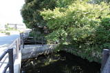 駿河 東熊堂砦の写真