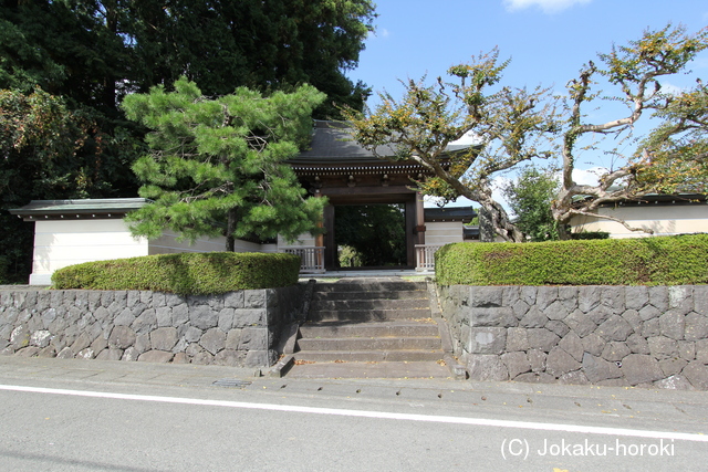 駿河 宝持院土居の写真