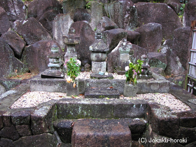 駿河 庵原館の写真