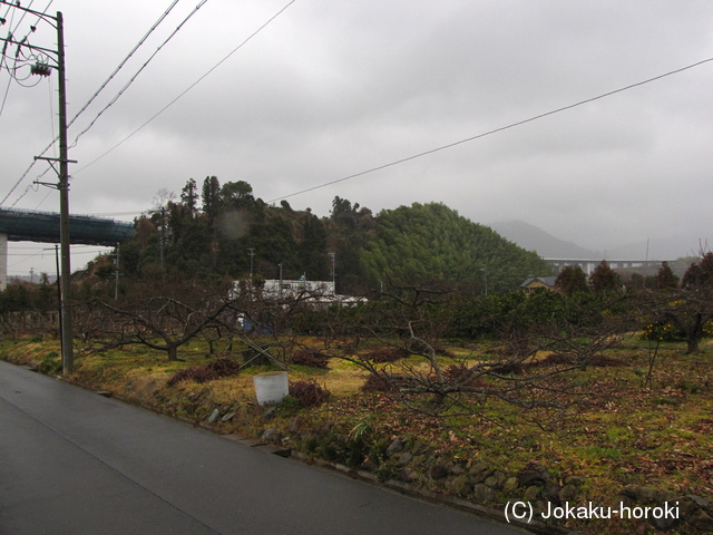 駿河 庵原山城の写真