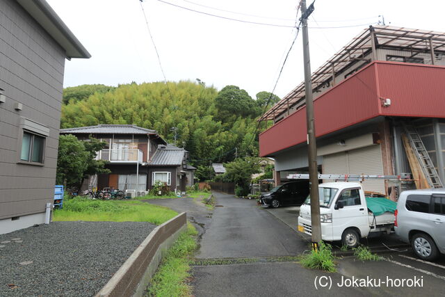 駿河 石井館の写真