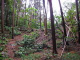 駿河 方上城の写真