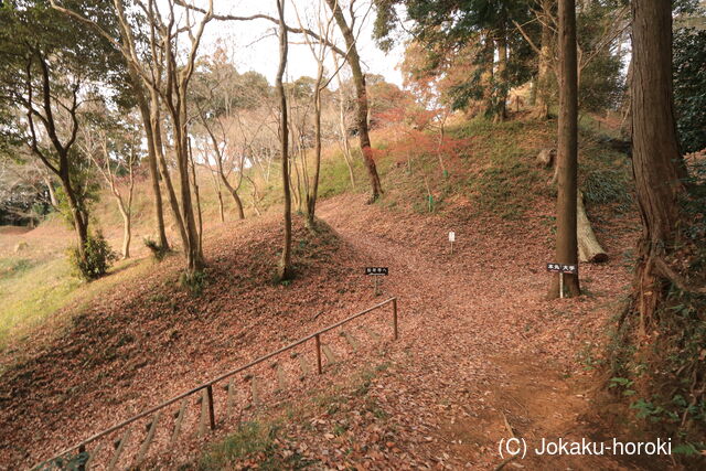 駿河 葛山城の写真