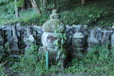 駿河 葛山城の写真