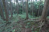 駿河 葛山城の写真