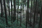 駿河 葛山城の写真