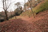 駿河 葛山城の写真