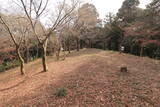 駿河 葛山城の写真