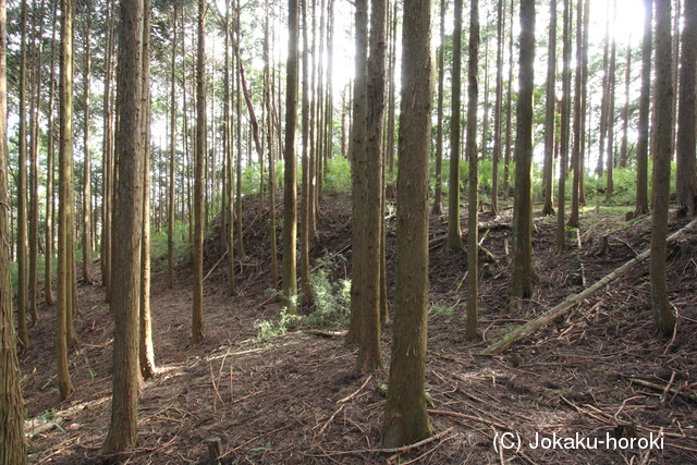 駿河 葛山かくれ城の写真