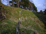 駿河 興国寺城の写真