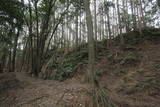 駿河 丸子城の写真