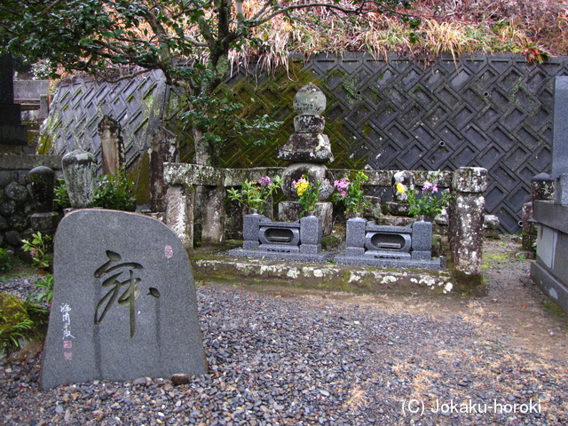 駿河 松井屋敷の写真