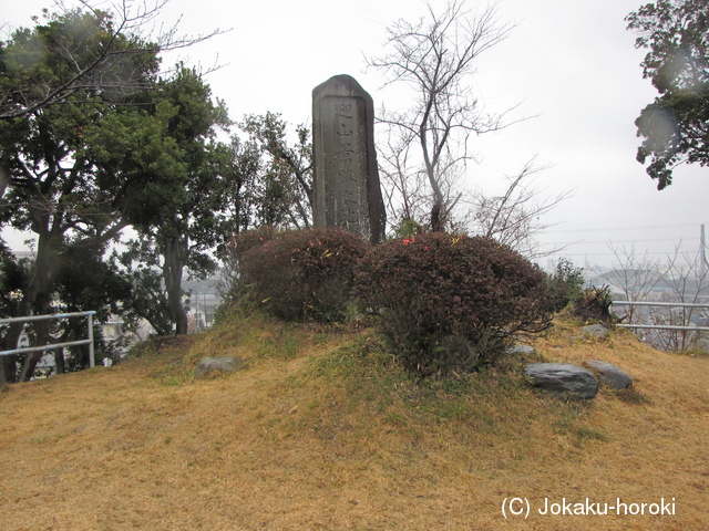 駿河 向山砦の写真