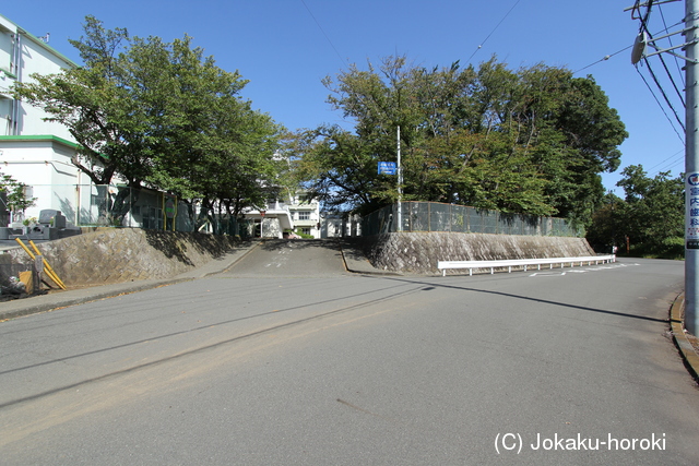 駿河 中沢田の円丸の写真