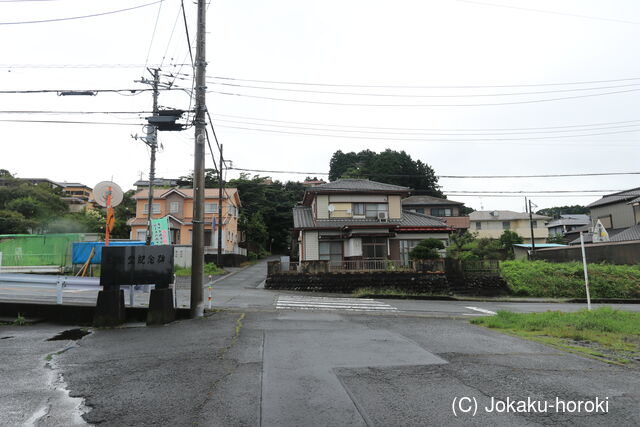 駿河 大淵城の写真