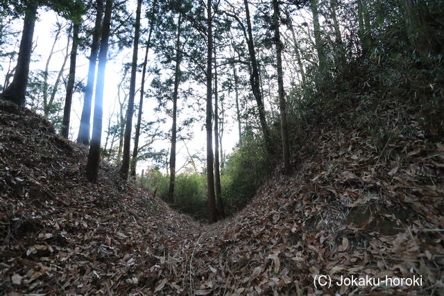 駿河 大畑城の写真