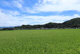 駿河 大平古城の写真