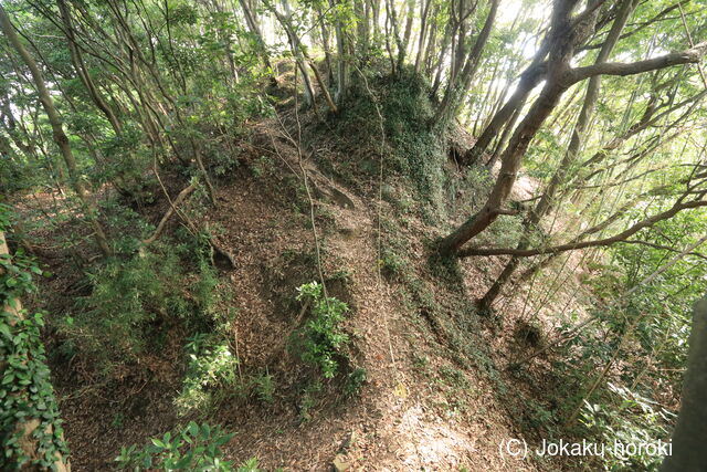 駿河 大平新城の写真