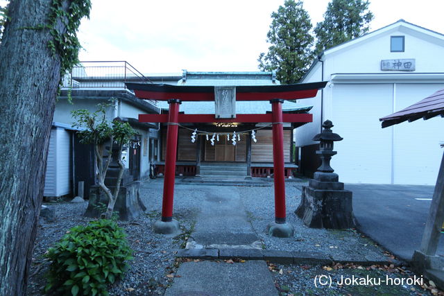 駿河 大宮城の写真