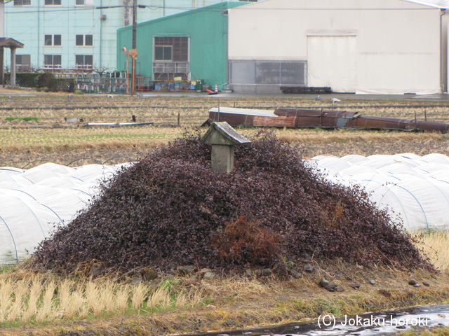 駿河 岡部氏館の写真