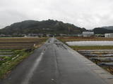 駿河 岡部氏館の写真