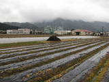 駿河 岡部氏館の写真