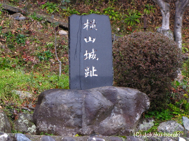 駿河 横山城の写真