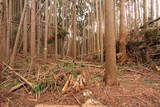 駿河 薩タ山砦の写真