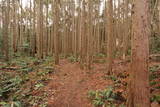 駿河 薩タ山砦の写真