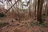 駿河 薩タ山砦の写真