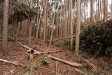 駿河 薩タ山砦の写真