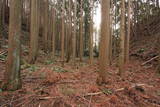 駿河 薩タ山砦の写真