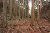 駿河 薩タ山砦の写真