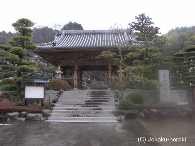 駿河 瀬名館の写真