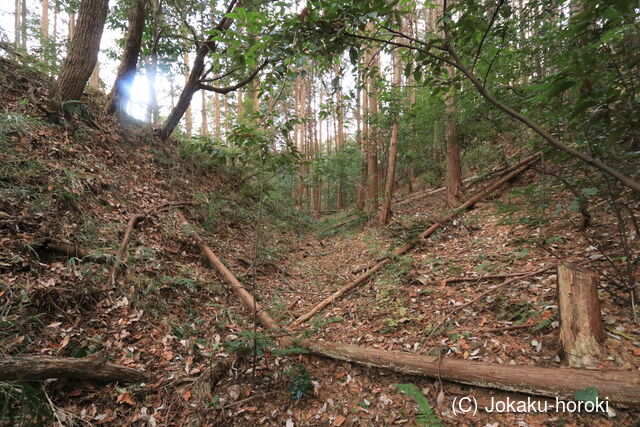 駿河 千福城の写真