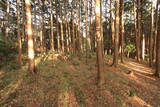 駿河 千福城の写真