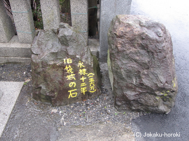 駿河 清水袋城の写真