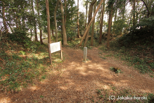 駿河 賤機山城の写真