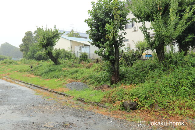 駿河 杉本氏屋敷の写真