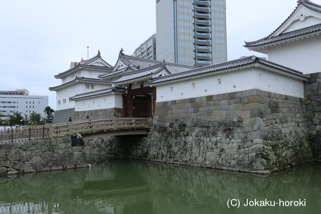 駿河 駿府城の写真