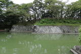 駿河 駿府城の写真