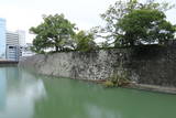 駿河 駿府城の写真