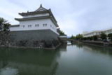 駿河 駿府城の写真