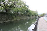駿河 駿府城の写真