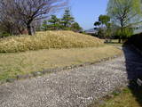 駿河 田中城の写真