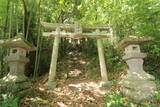 駿河 出城山の写真