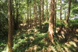 駿河 出城山の写真
