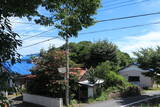 駿河 出城山の写真