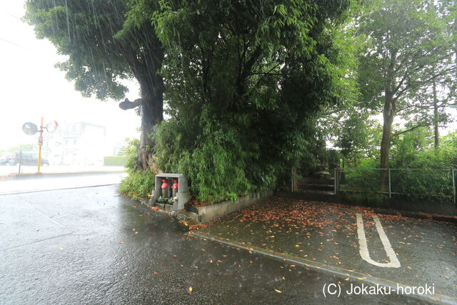 駿河 藤泉院土居の写真