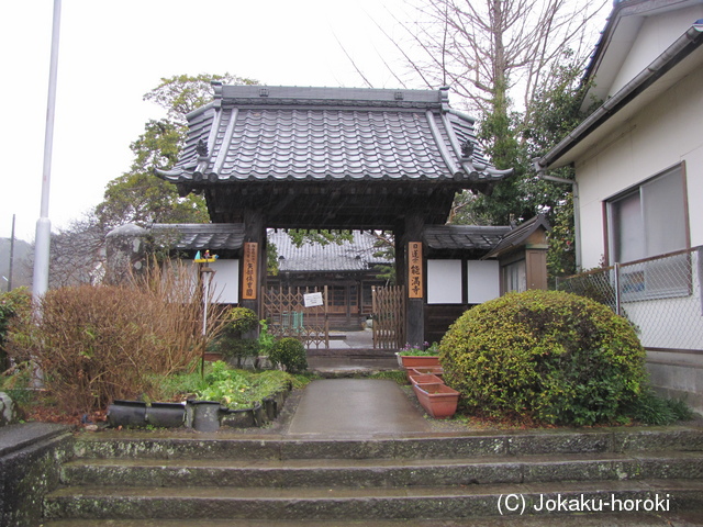 駿河 矢部館の写真